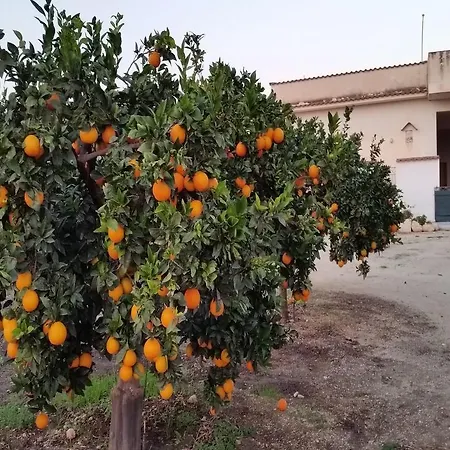 Casa Pino
