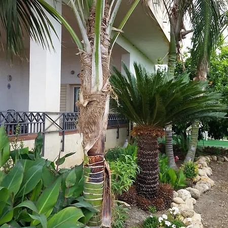 Casa Pino