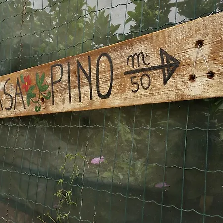 Casa Pino